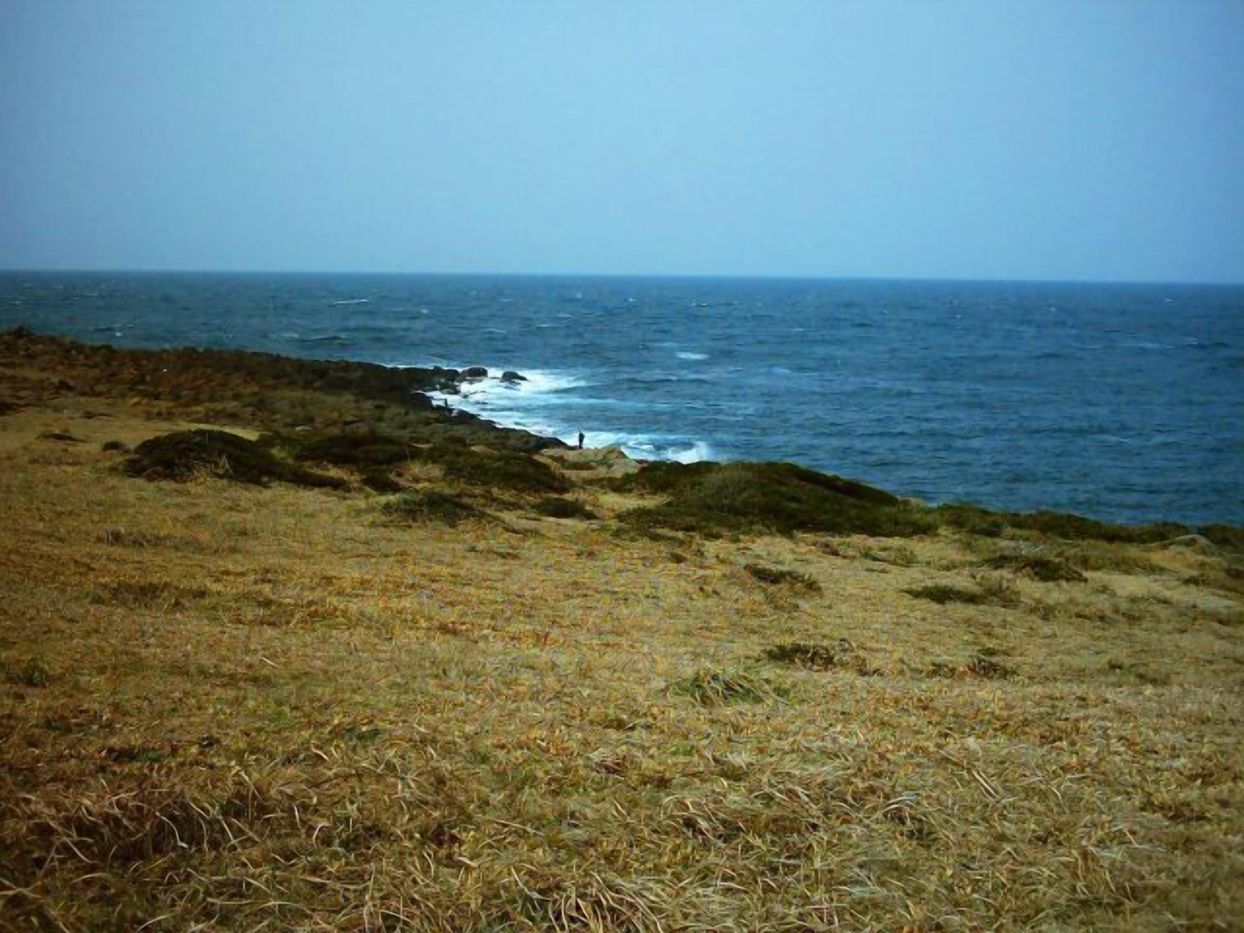 A coastal landscape with a grassy foreground and a view of the sea.