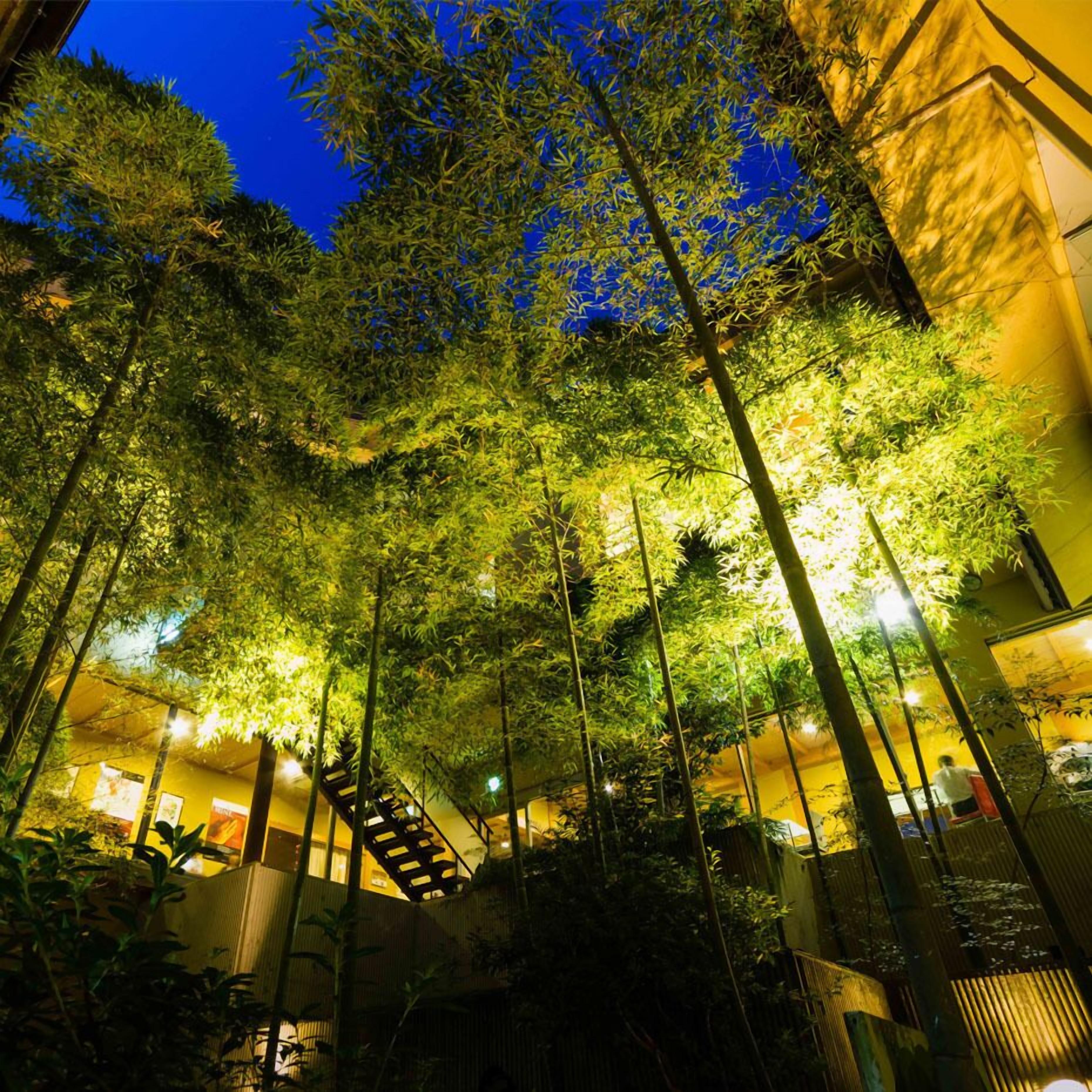 المنطقة المحيطة بالمنشأة