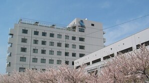 A multi-story building with a modern architectural design, featuring a flat roof and a series of windows. - Grand Foret (Shikokuchuo)