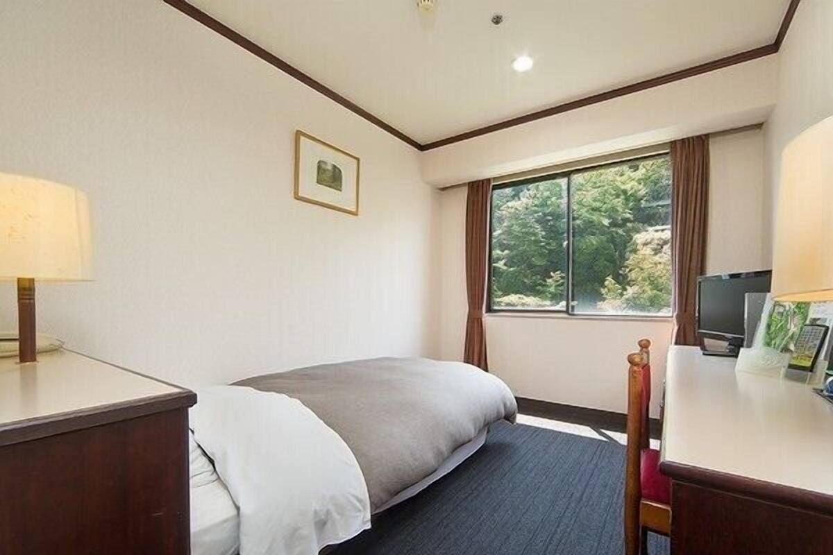 Hotelkamer met een bed, een bureau, een stoel, een lamp, een televisie en een raam met uitzicht op bomen.