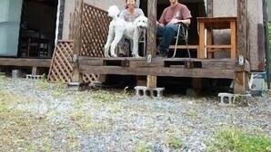 A wooden cabin with a porch, a dog, and a person sitting. - Ichinokuraso Bettei Shirouma (Hakuba)