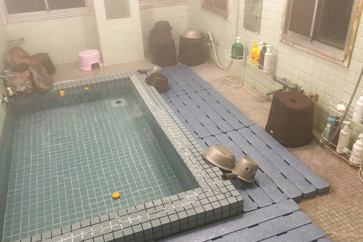 Wellness