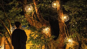 A person walking through a garden at night with illuminated spherical decorations. - Kurokawa Onsen Wafu Ryokan Misato (Minamioguni)