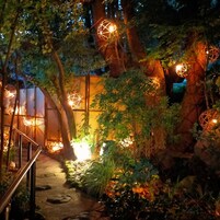 Um jardim noturno com esferas iluminadas, cerca de madeira e escada de metal.