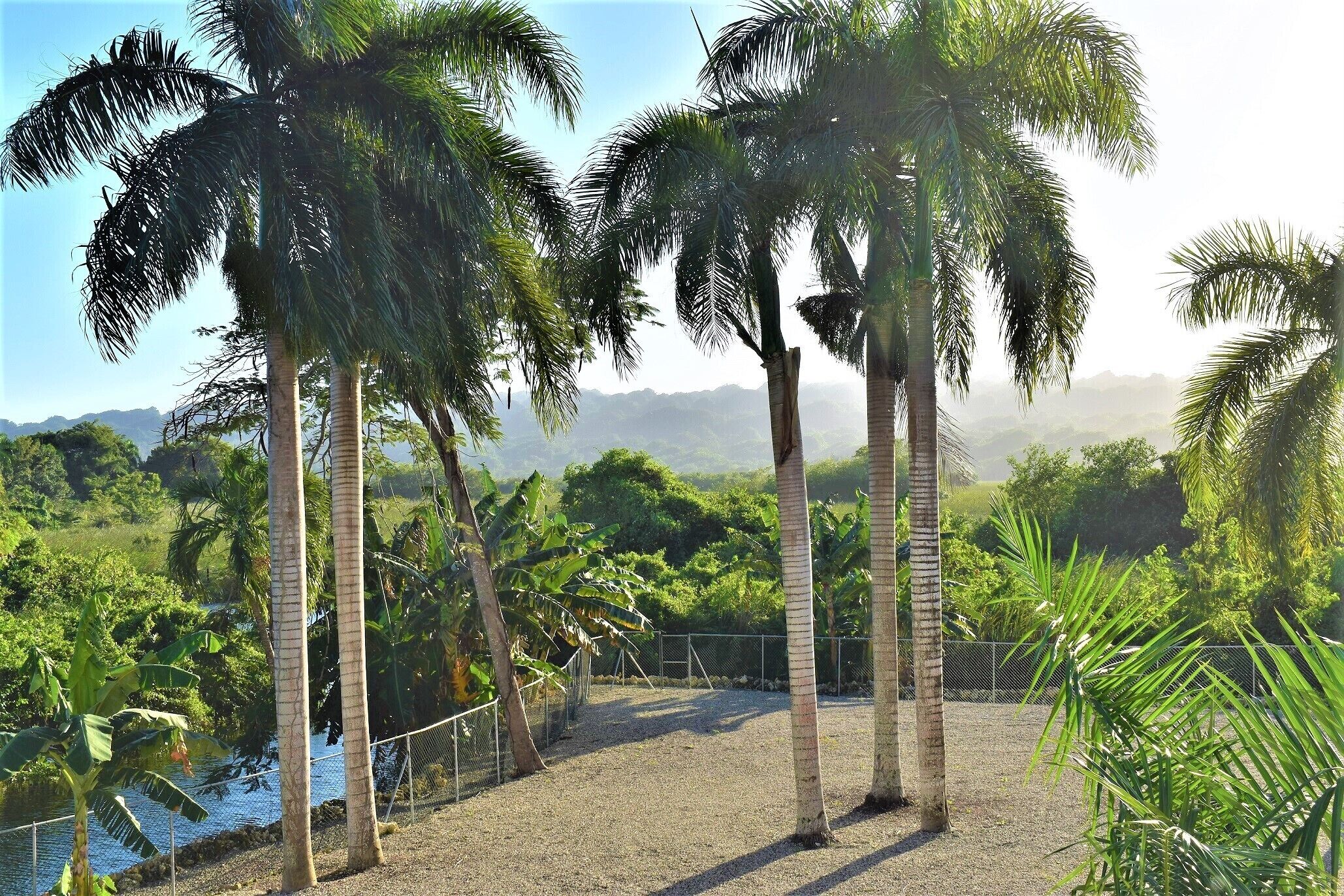 Foto - Tropical Casa Laguna