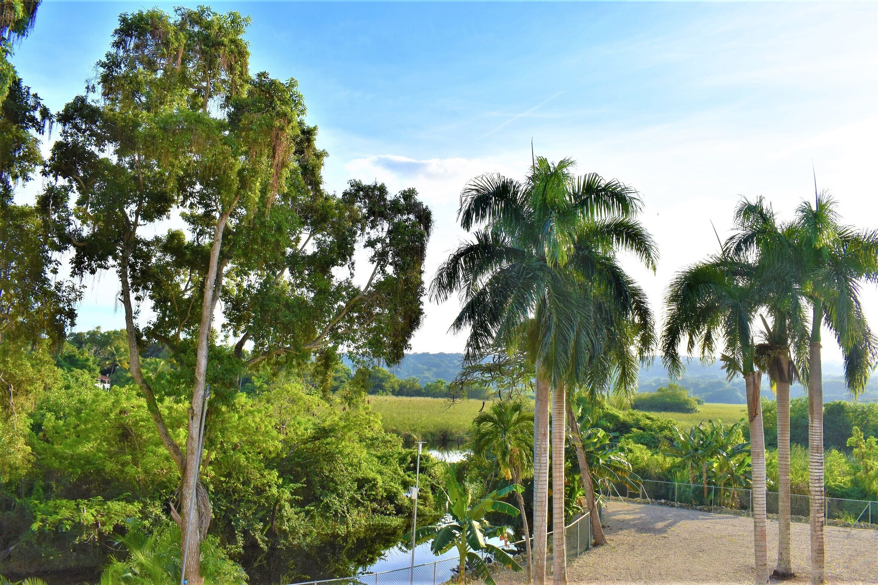 standard double room, 1 king bed, mountain view | balcony view