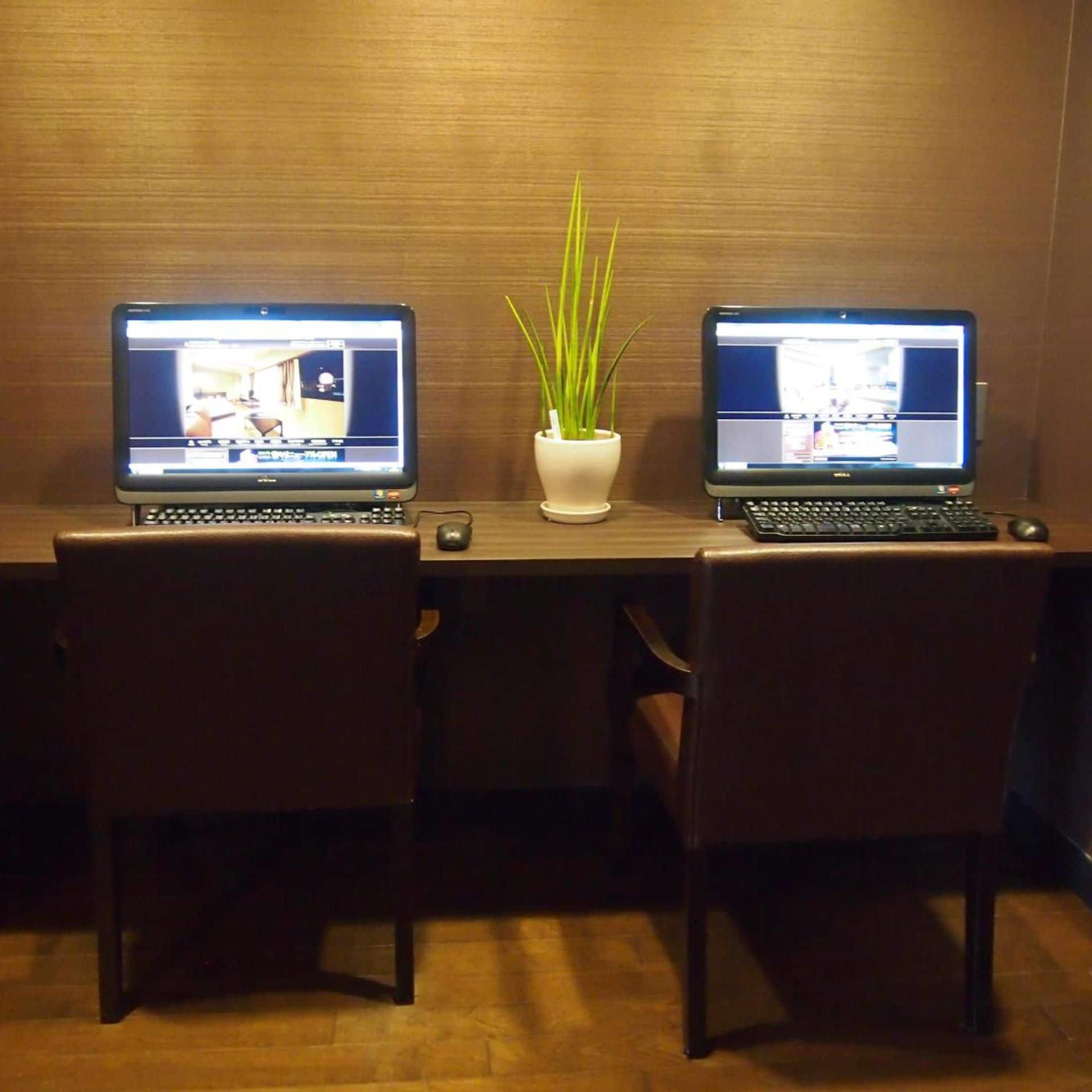 Two laptops on a wooden desk with a potted plant between them.