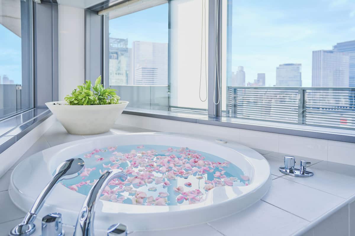 combined shower/bathtub, free toiletries, hair dryer, bathrobes