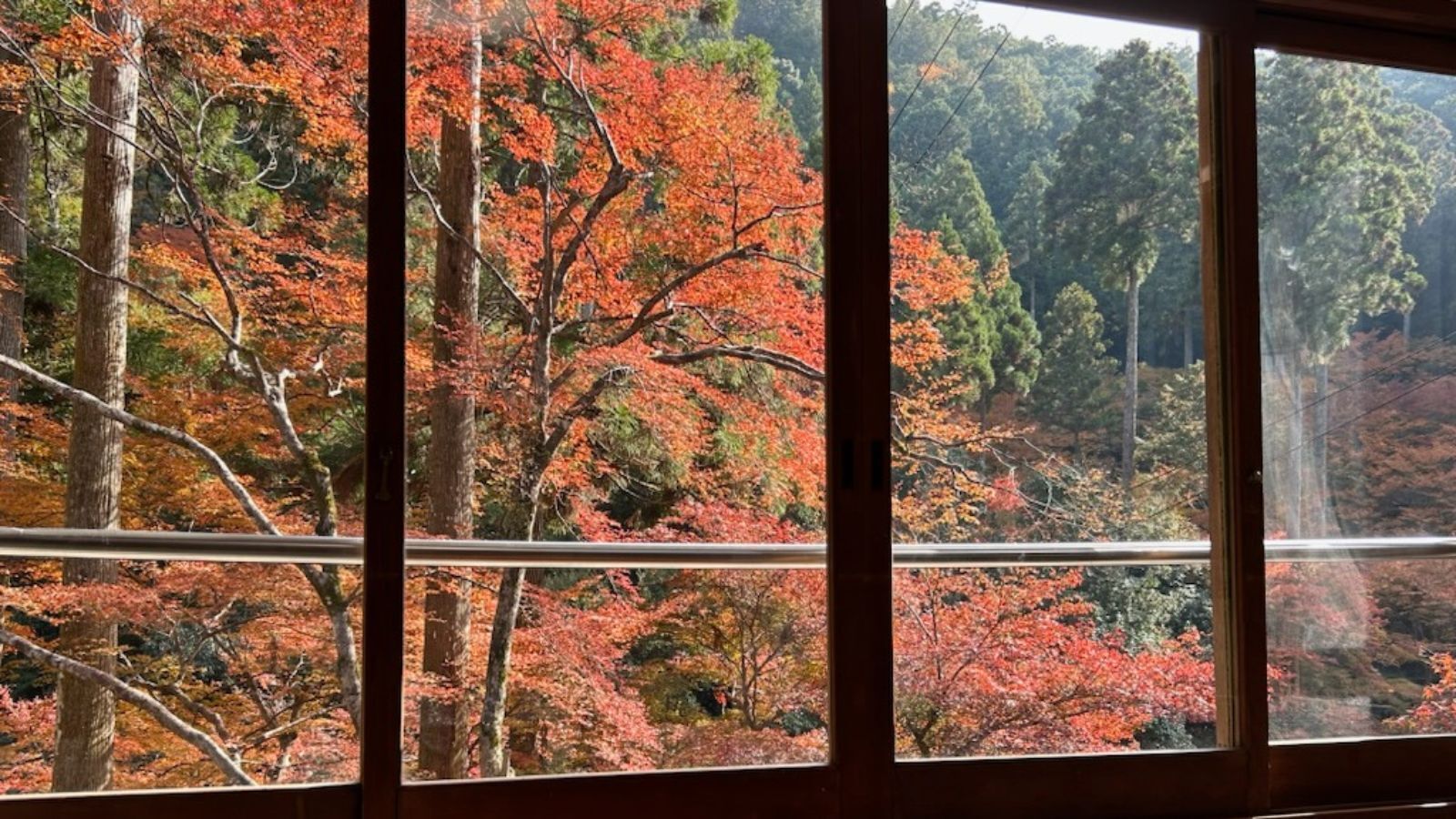 Vista pela janela, com grade de metal, mostrando uma área arborizada com folhagem outonal.