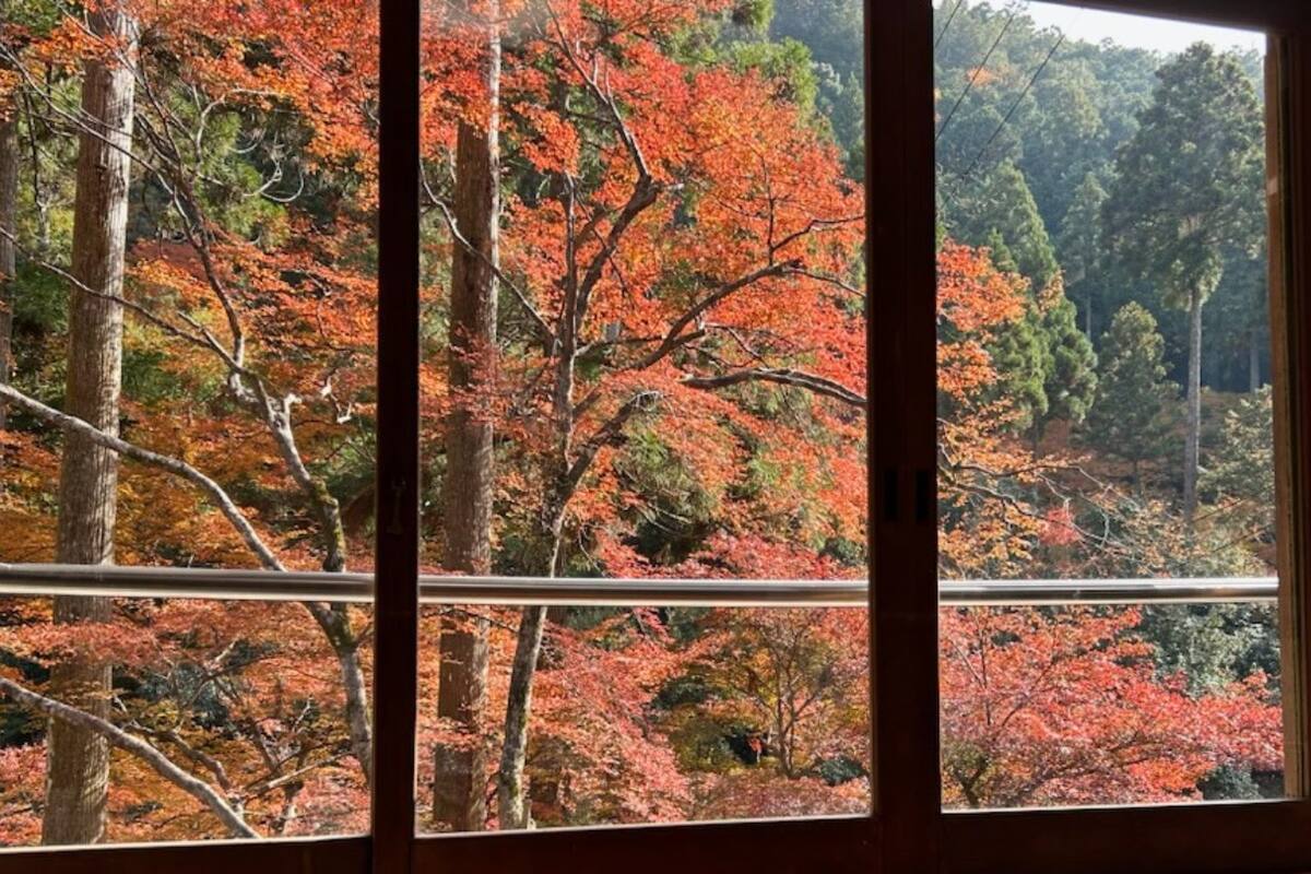 Vista a través de una ventana con barandilla de metal, mostrando un área boscosa con follaje otoñal.
