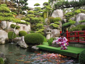 Overnatningsstedets område