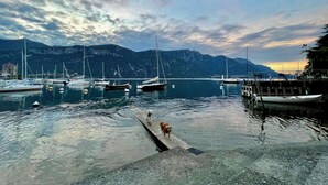 A marina with boats docked, a dog walking on a pier, and mountains in the background.