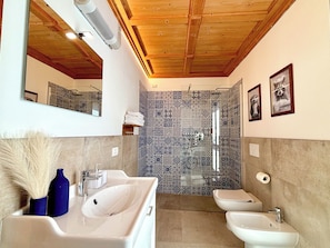 Bathtub, hair dryer, bidet, towels