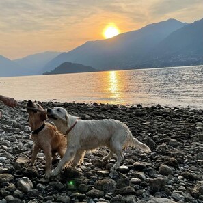 Beach nearby - Next to the lake! Parking, garden, Dog welcome! (bellagio)