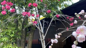 A tree with pink flowers, a wooden structure, and a stone pathway.