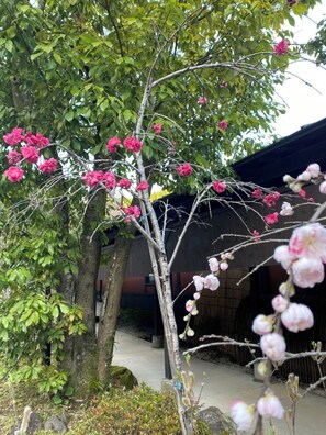 Property grounds - Yufuin Onsen Yufuin Ryoan Wazanho (Yufu)