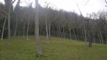 Parco della struttura