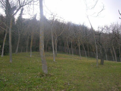 Talo vuokrattavana maassa 