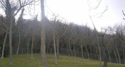 Talo vuokrattavana maassa