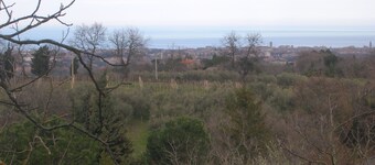 CASA EN ALQUILER EN EL CAMPO 