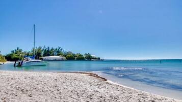 Plage à proximité, chaises longues, serviettes de plage