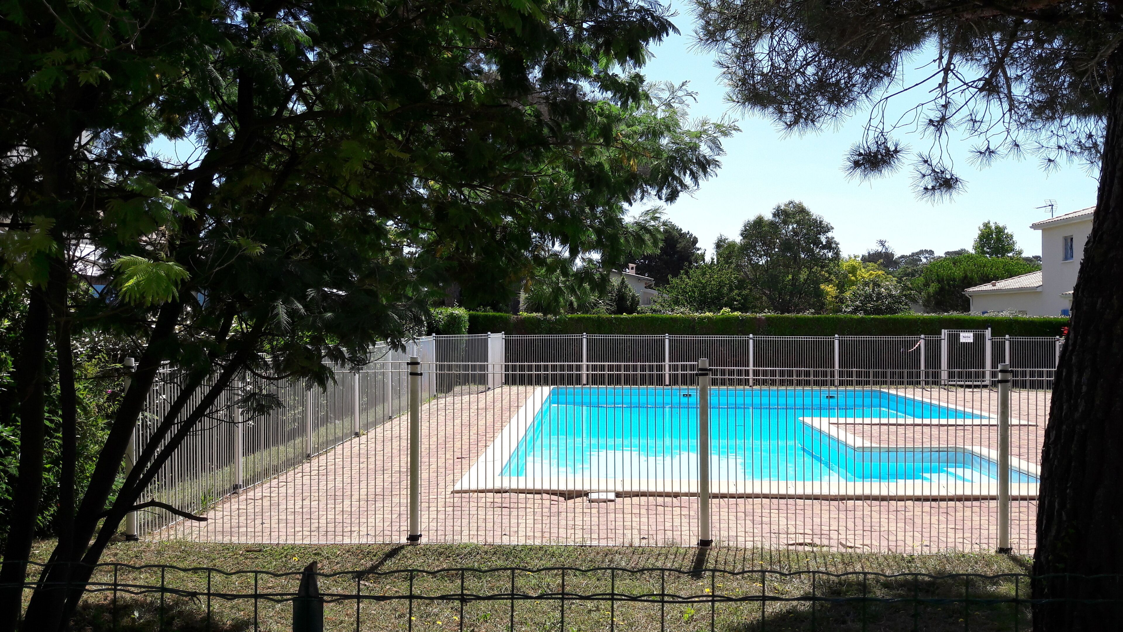 A fenced swimming pool area with a clear blue pool, surrounded by a brick pathway and greenery.