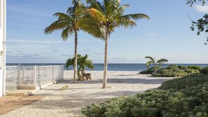 A beach with palm trees, a white fence, and a building with a balcony.