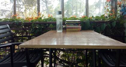 Elation Guest House & Musafir Cafe