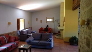 TV, fireplace, video games, DVD player