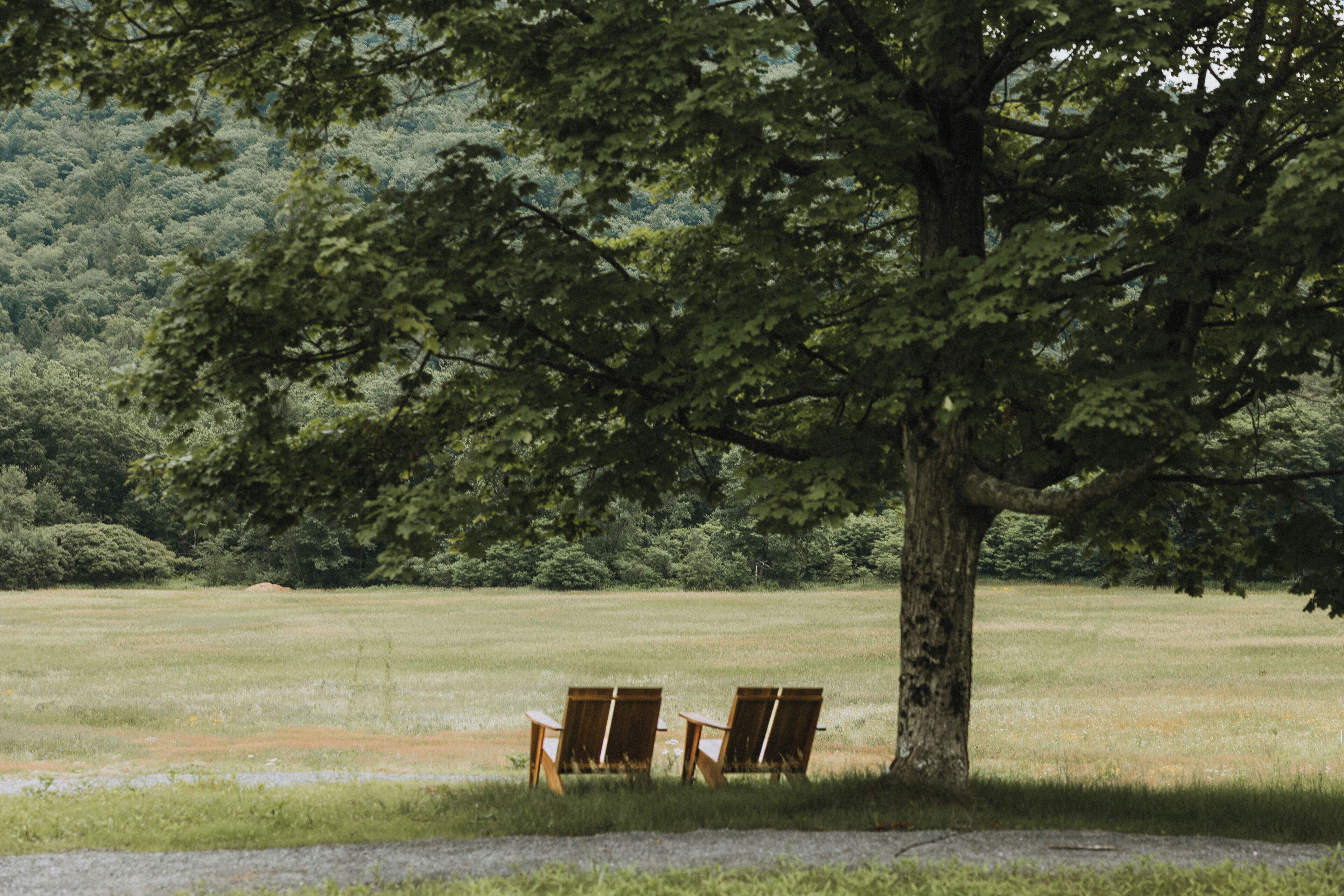 A tree with two wooden chairs under it, set in a grassy field with trees in the background.