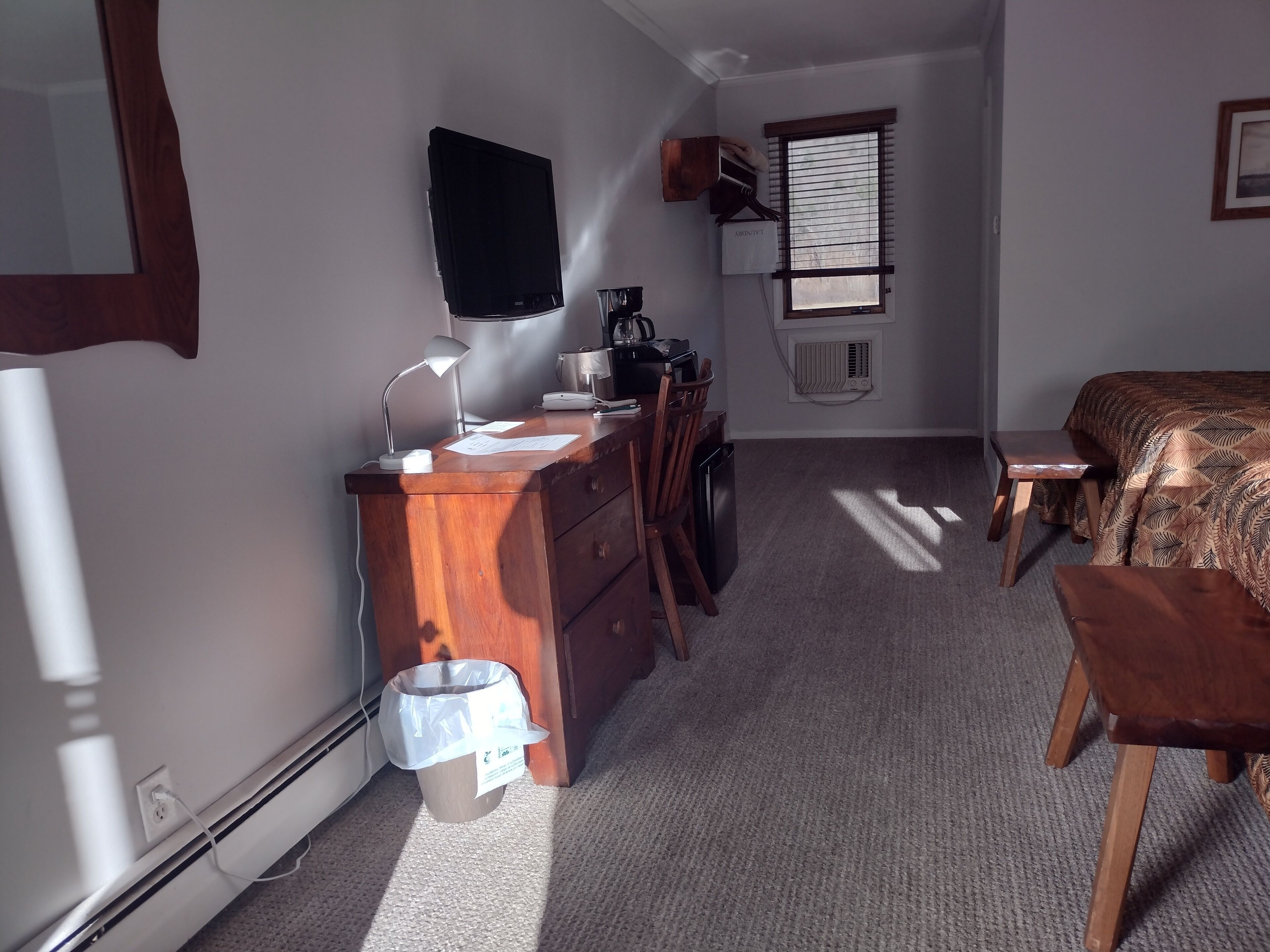 standard room, mountain view, pet friendly | desk, laptop workspace, blackout curtains, free wifi