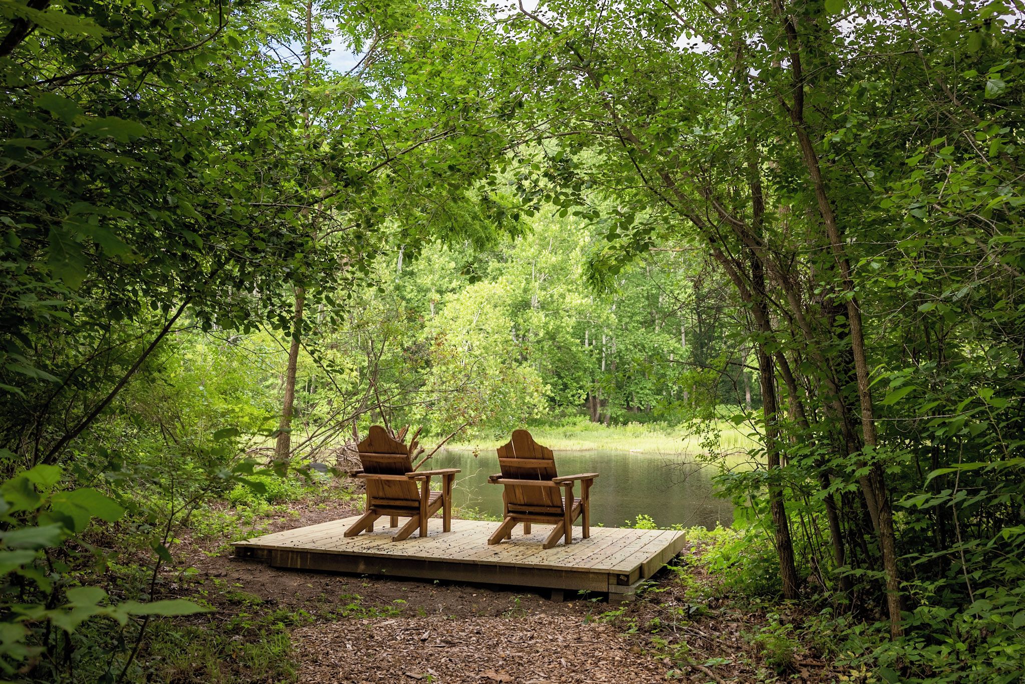 Eine Holzsteg mit zwei Adirondack-Stühlen, die auf einen stillen See mit dichter Bewaldung blicken.