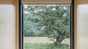 Rom