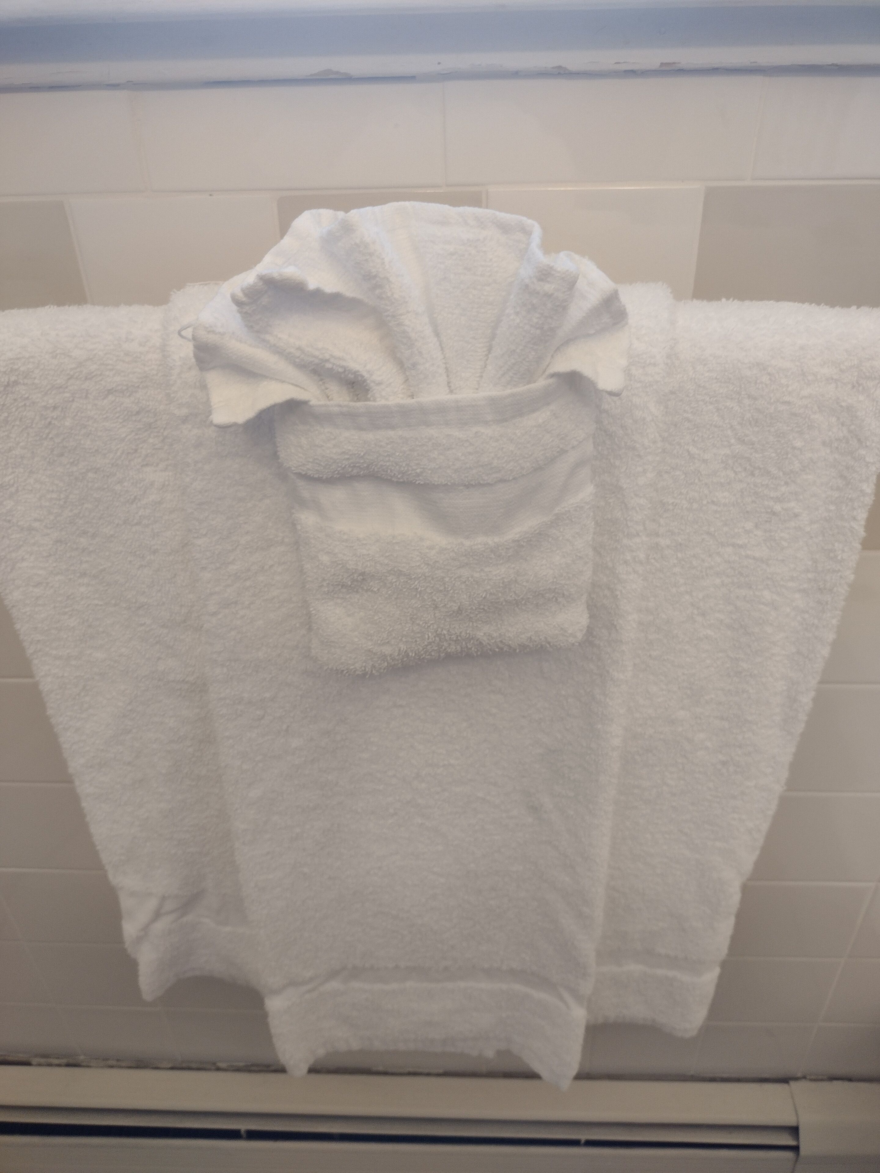 combined shower/bathtub, free toiletries, hair dryer, towels