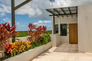 Studio Suite, 1 King Bed, Park View | Terrace/patio