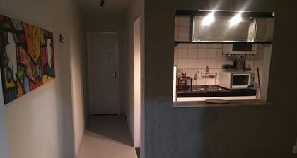 KITNET FURNITURE STUDIO - paras kissanpentu lähellä rantaa