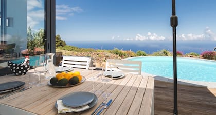 New: architect villa with private pool and clear Atlantic view in Puntagorda