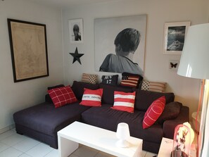 Télévision, lecteur de DVD, livres