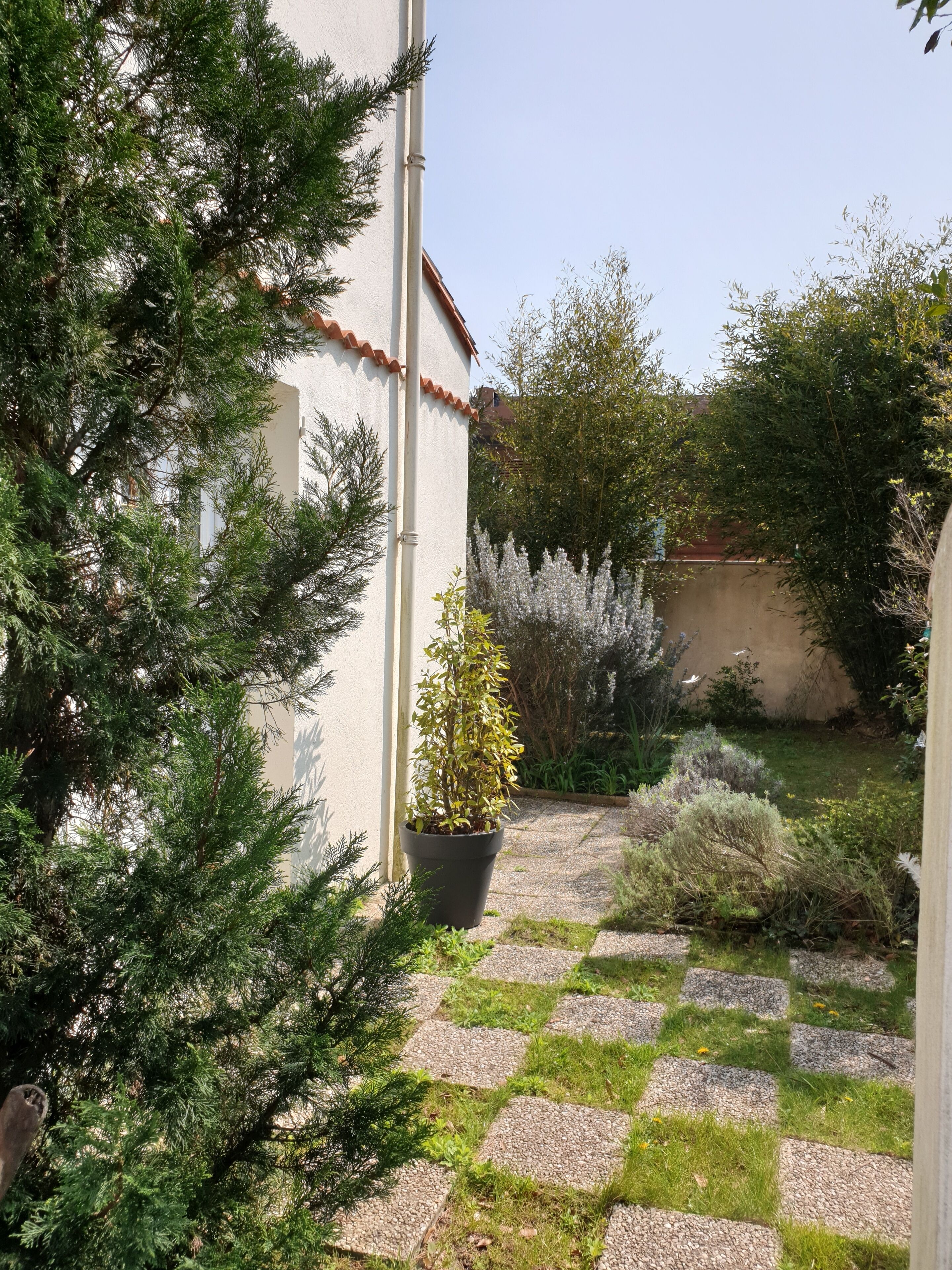 A garden with a stone pathway, various plants, and a building with a white exterior and red roof.