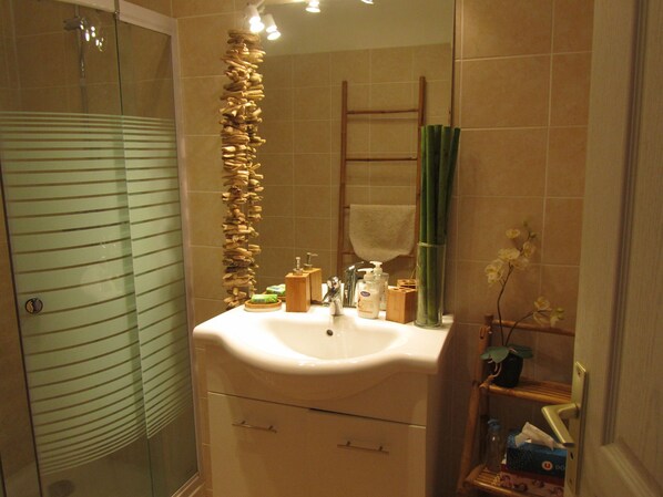Hair dryer, towels, soap, toilet paper