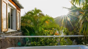 Una piscina de agua cristalina, rodeada de abundante vegetación y una casa de madera.