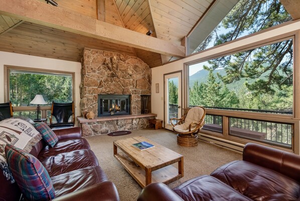 Televisión, chimenea y libros 