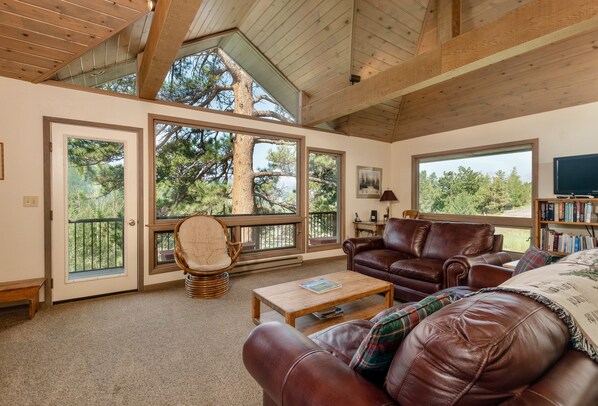 TV, fireplace, books