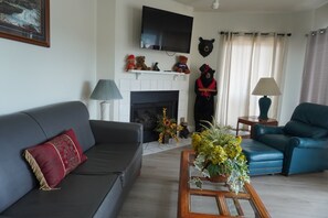 Fernseher, Kamin