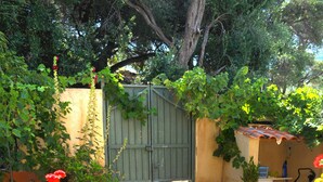 Un escalier en pierre menant à une porte, entouré de plantes et de fleurs en pot.