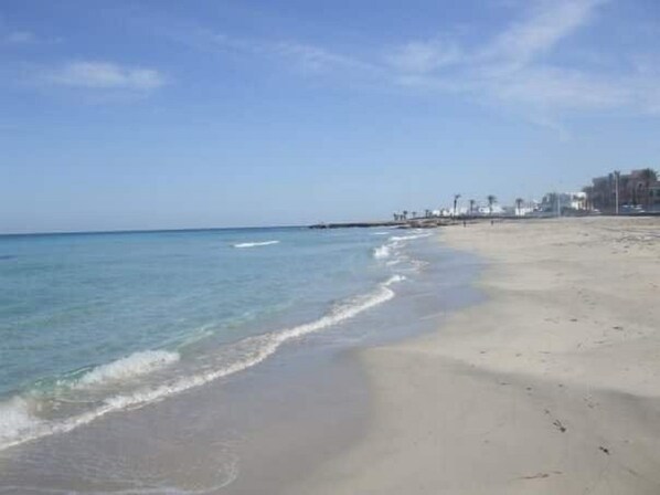 بالقرب من الشاطئ