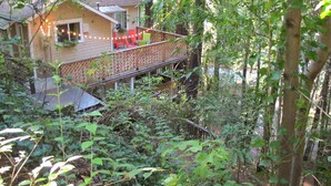 A house with a deck surrounded by dense foliage.