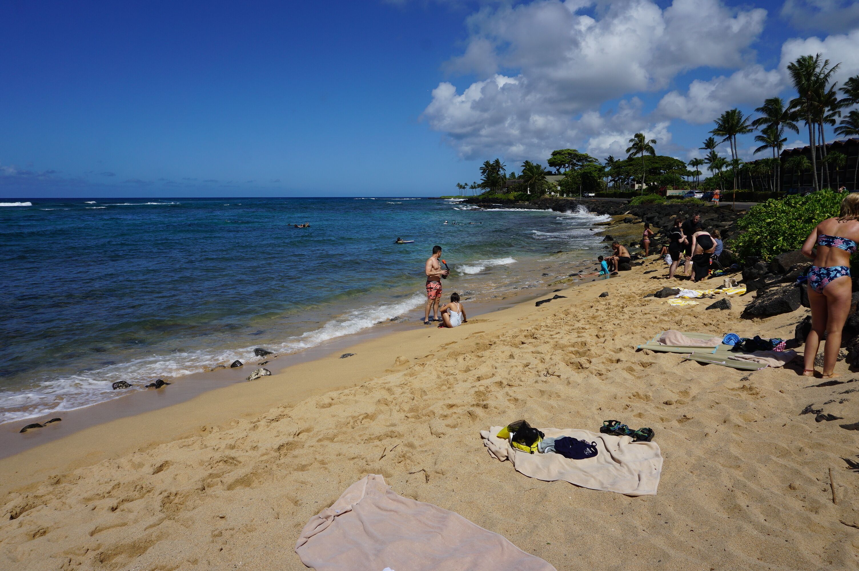 A beach with people sunbathing and swimming, a sandy shore, and palm trees in the background.