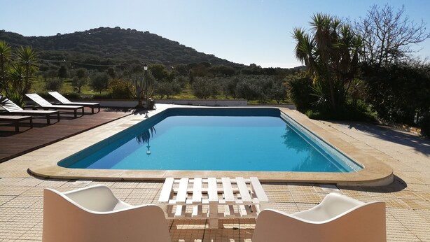 Una piscina rettangolare con bordo piastrellato, circondata da lettini e un pergolato.