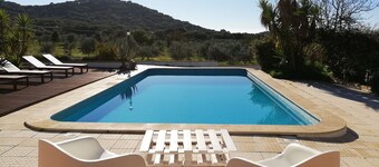 Apartment Suite with Living Room and Kitchenette